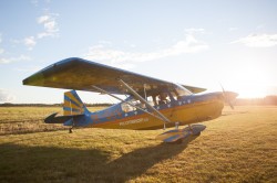 Andel i Bellanca Super Decathlon säljes
